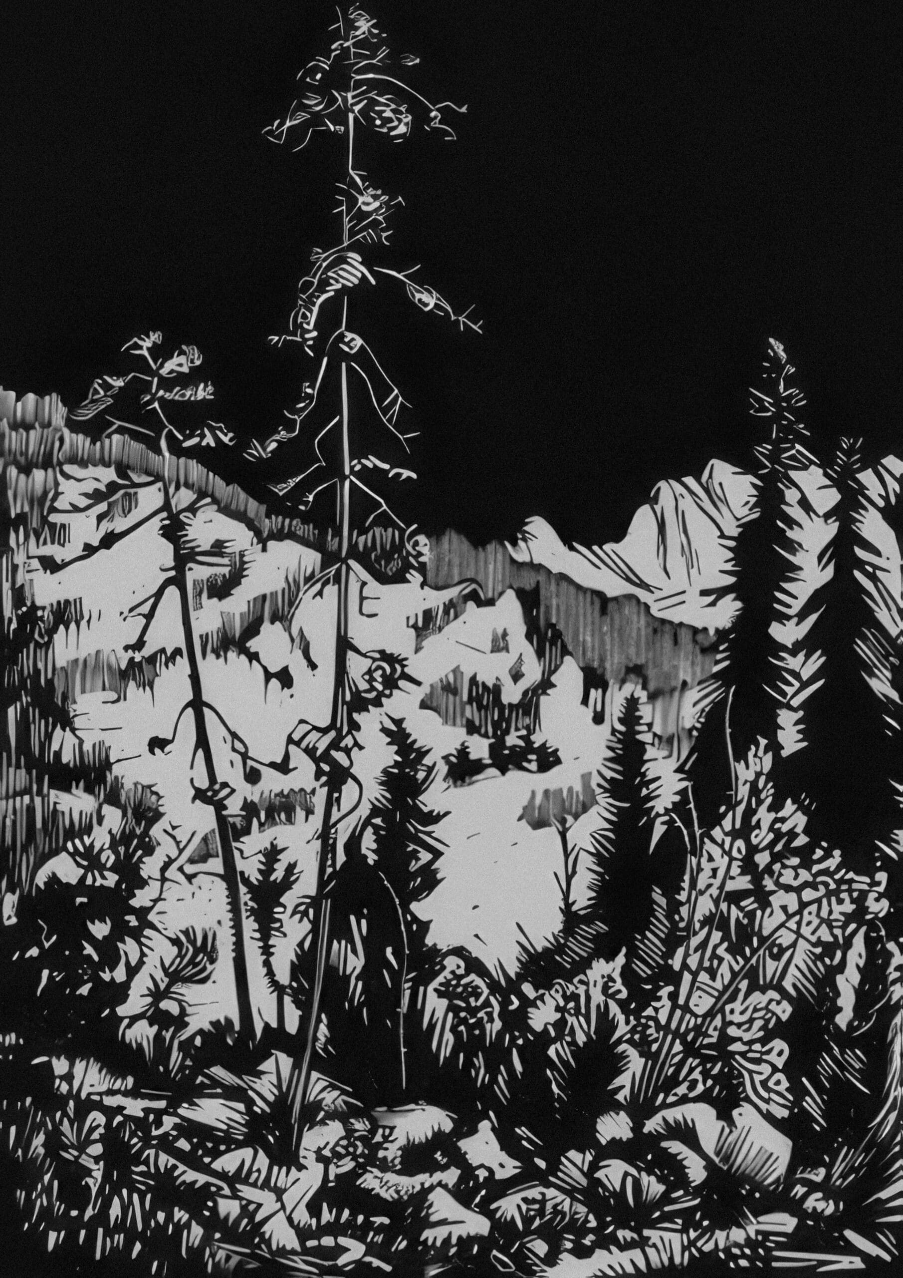 noir et blanc graphisme illustration