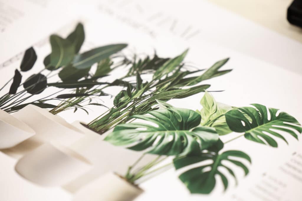 dessin de plantes design