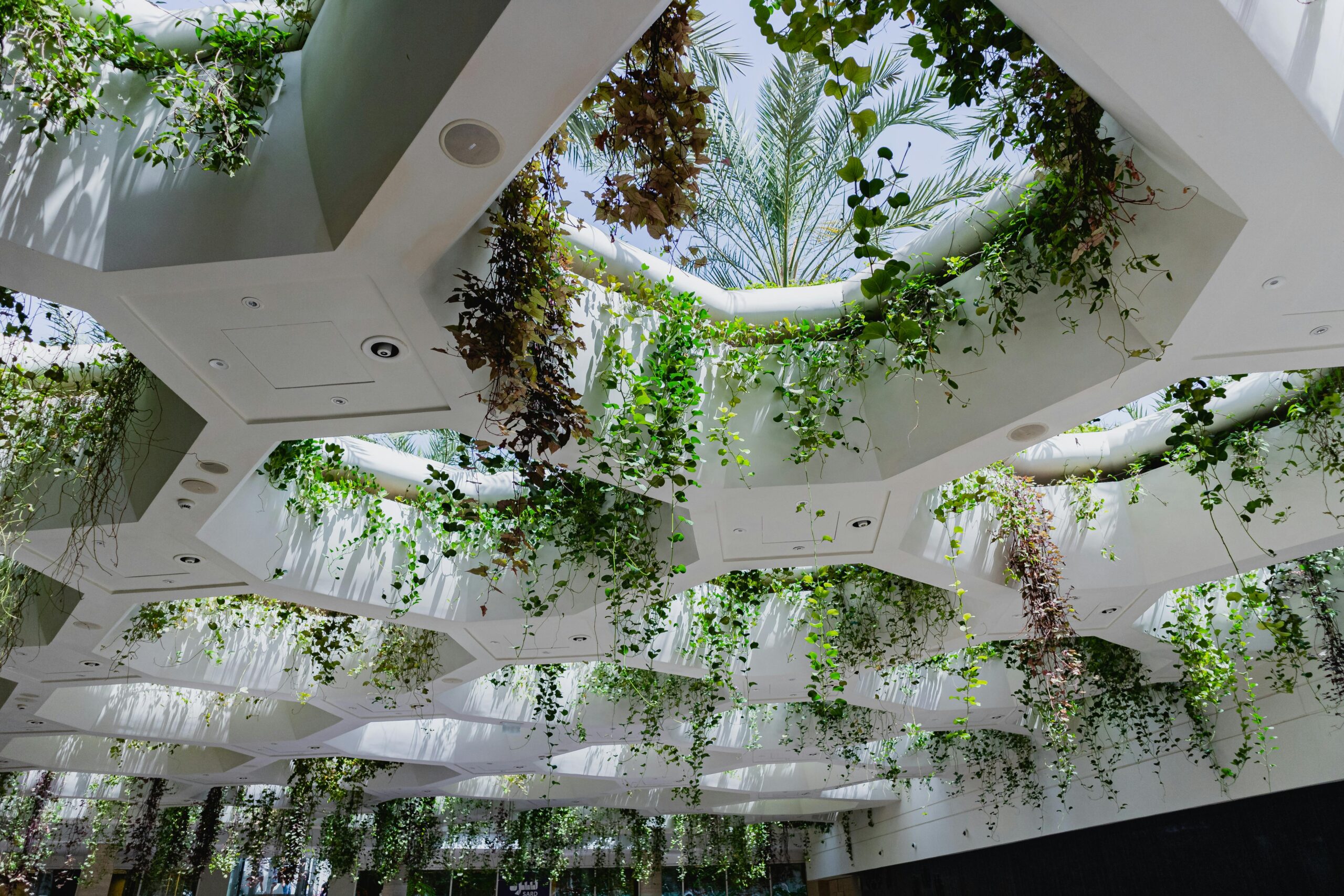 verrière et toit en design biophilique avec plantes tombantes