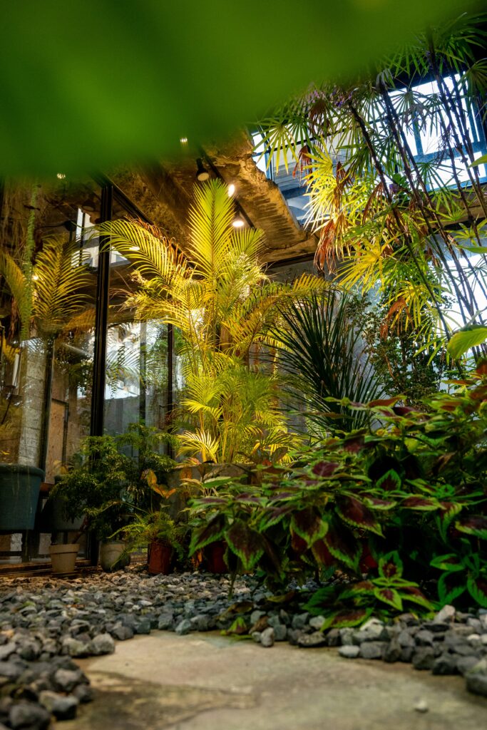 cour d'immeuble en design biophilique